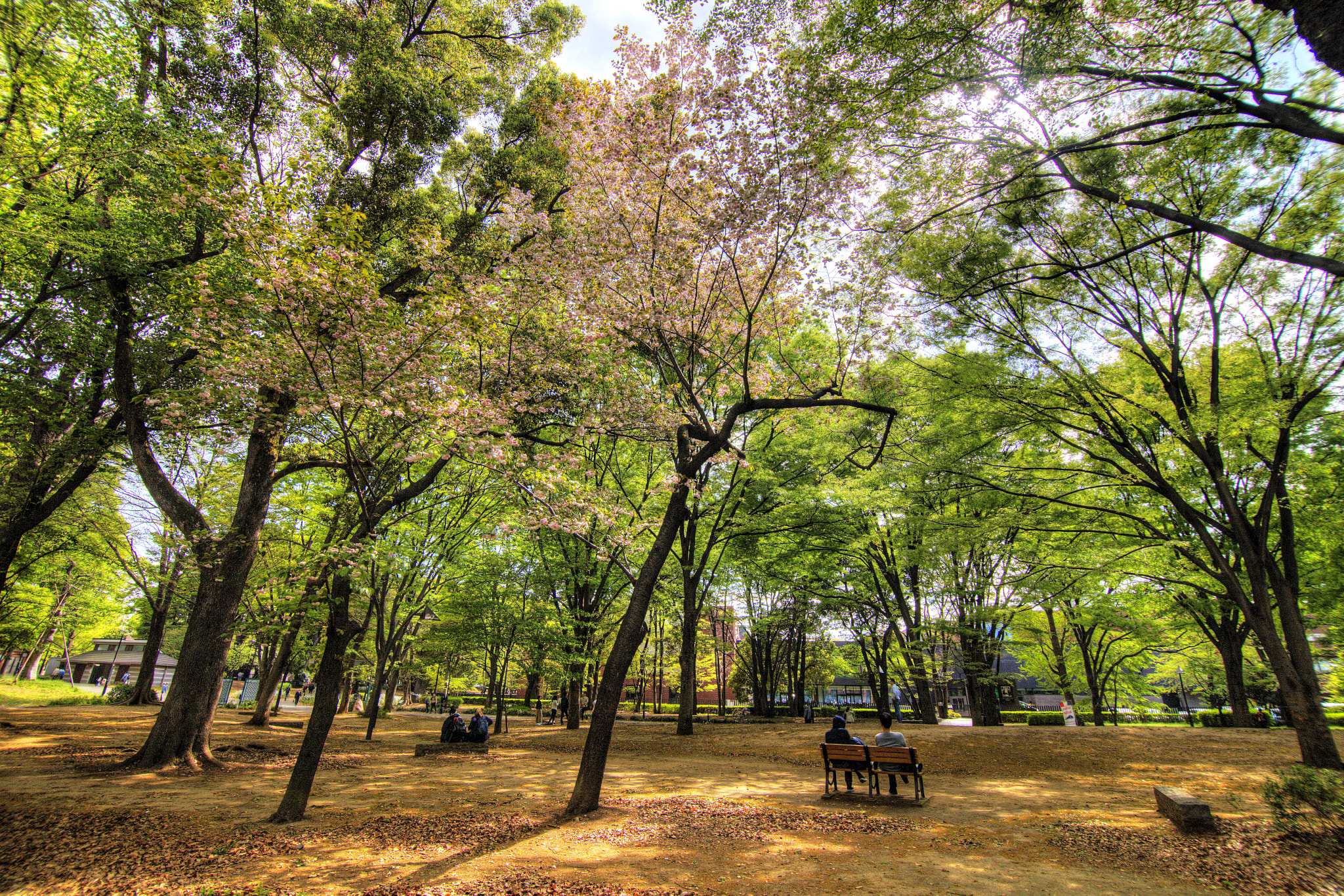 Canon EOS 6D sample photo. 東京上野恩賜公園 photography