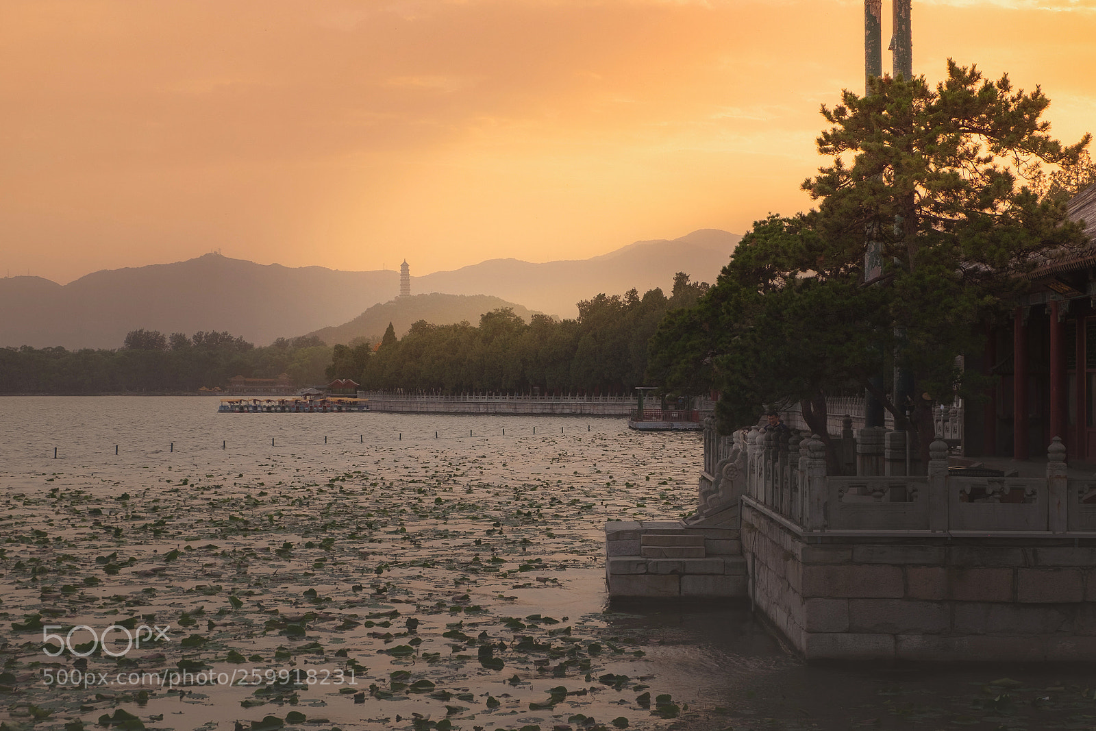 Fujifilm X-T10 sample photo. The summer palace photography