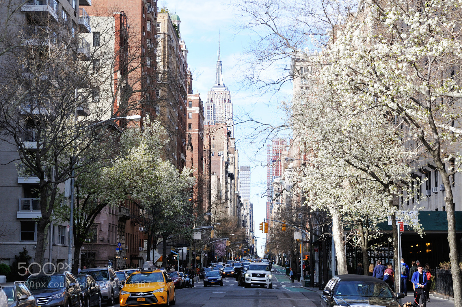 Nikon D300S sample photo. Ny fifth avenue photography