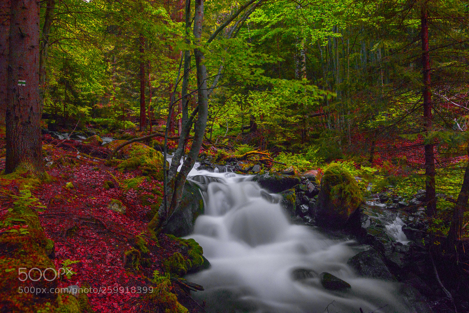 Nikon D810 sample photo. Beautiful cascade photography