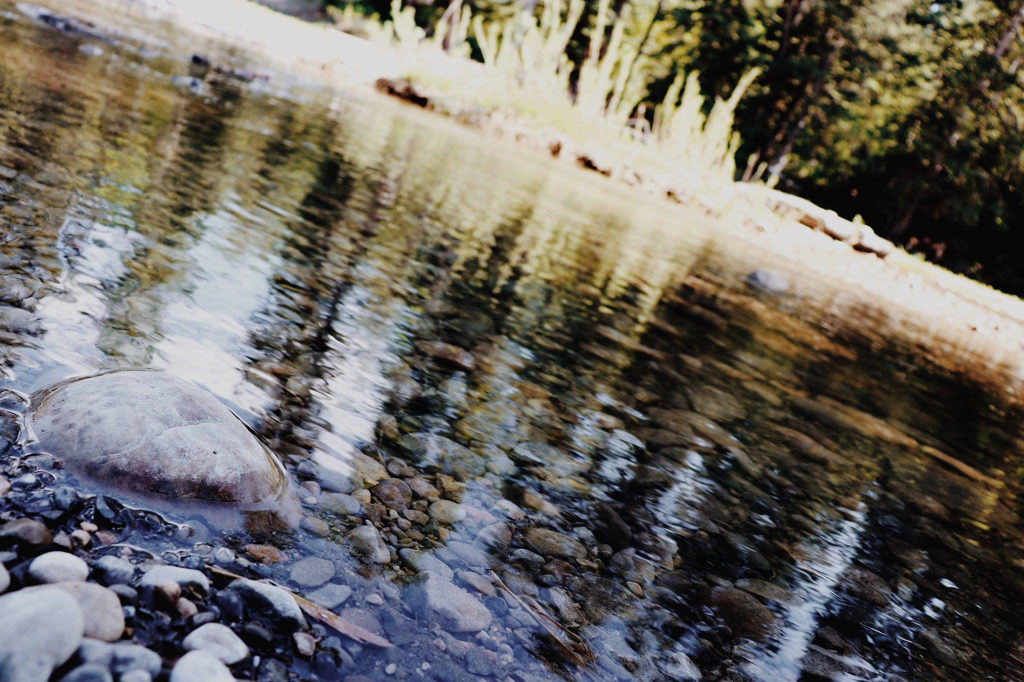 Canon EOS 800D (EOS Rebel T7i / EOS Kiss X9i) sample photo. A walk by the river photography