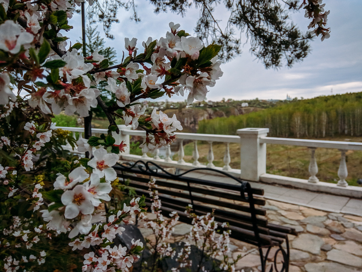 Xiaomi Redmi Note 3 sample photo. * photography