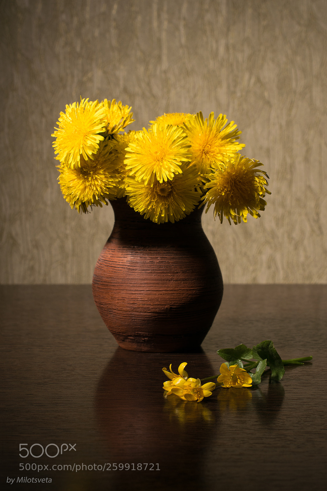 Nikon D3300 sample photo. Spring dandellions photography