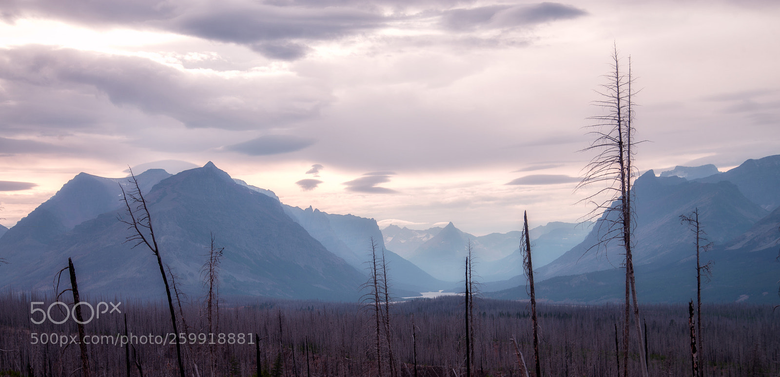 Nikon D600 sample photo. Dusk in montana photography