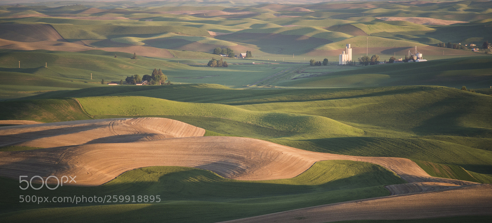 Nikon D600 sample photo. Morning at steptoe photography