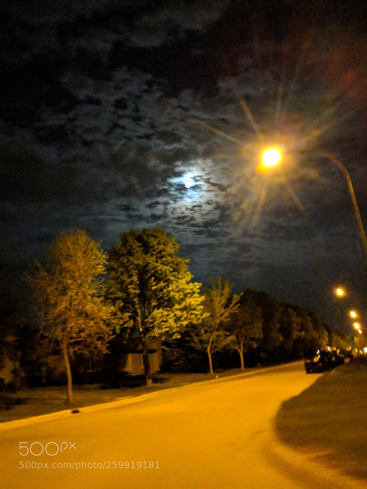 Google Pixel 2 sample photo. ? photography