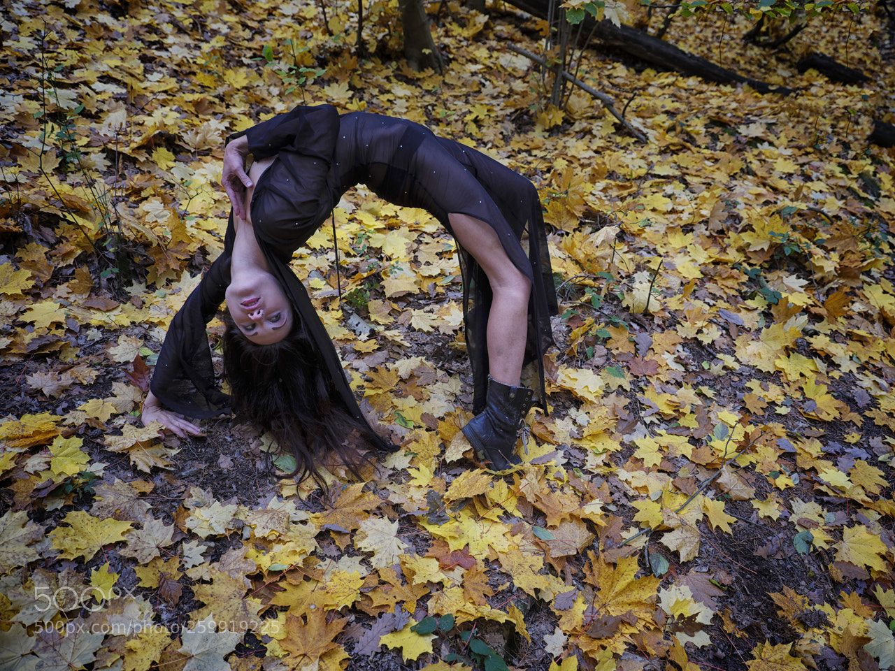 Fujifilm GFX 50S sample photo. Upside down photography