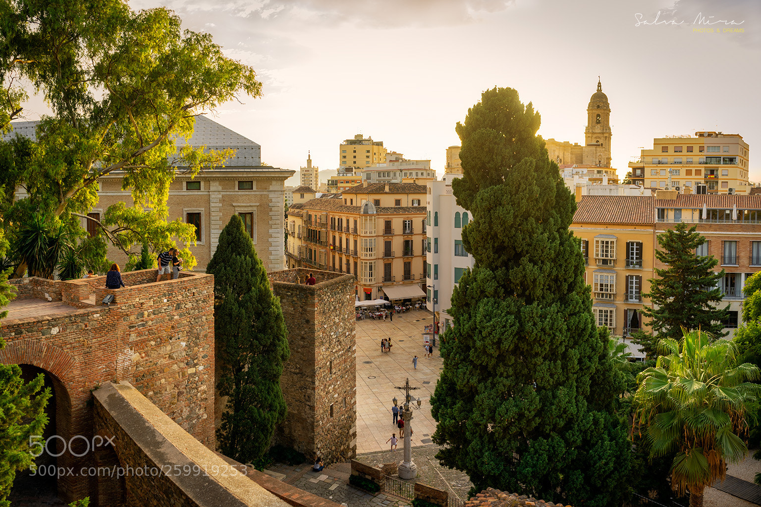 Sony a7 II sample photo. Vistes des de l'alcazaba photography