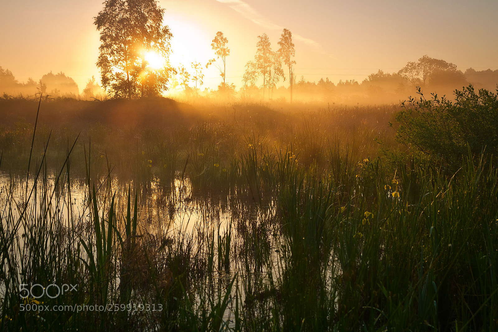Canon EOS 7D sample photo. In the morning on photography