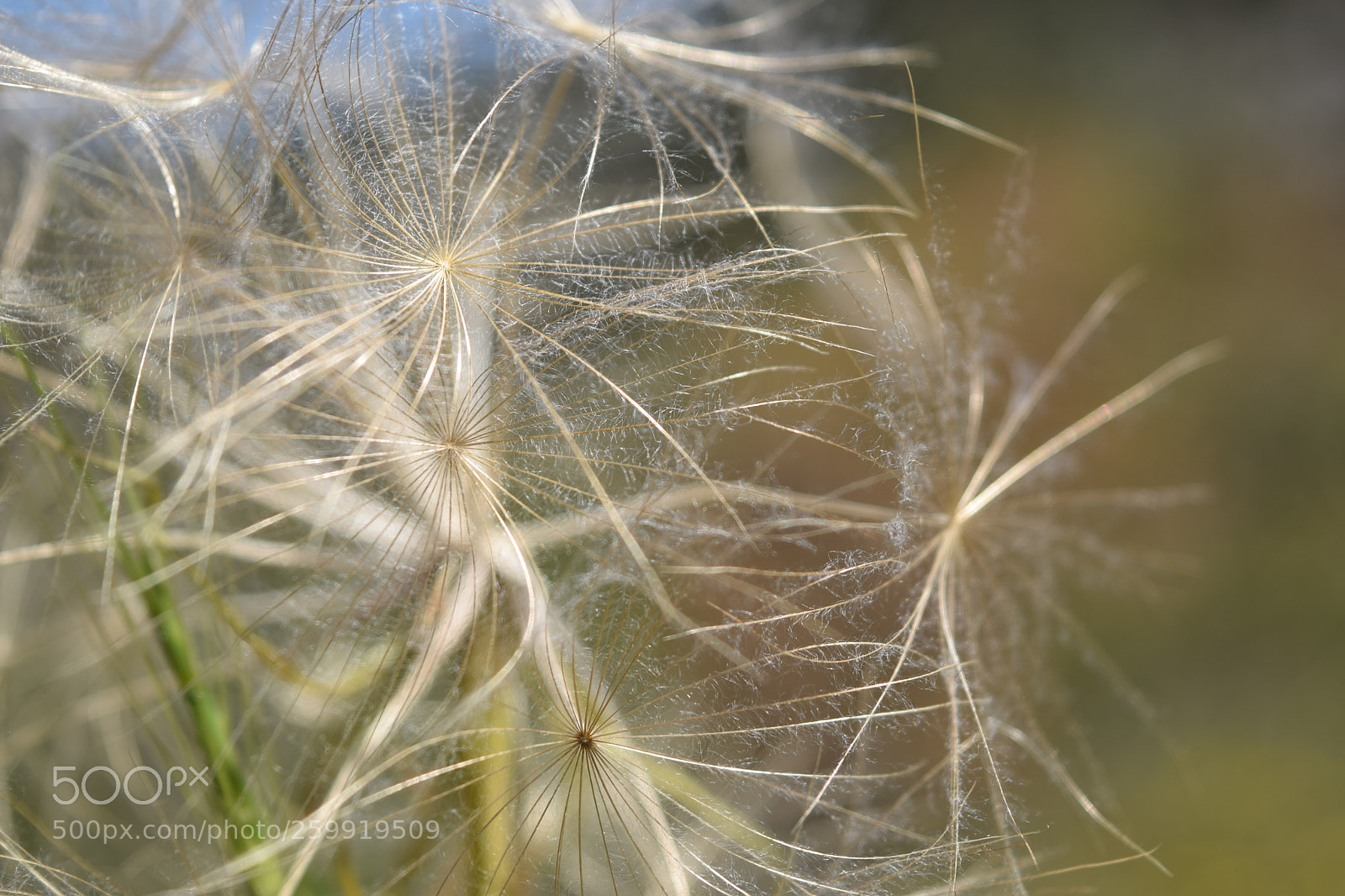 Nikon D3300 sample photo. An earth full of photography