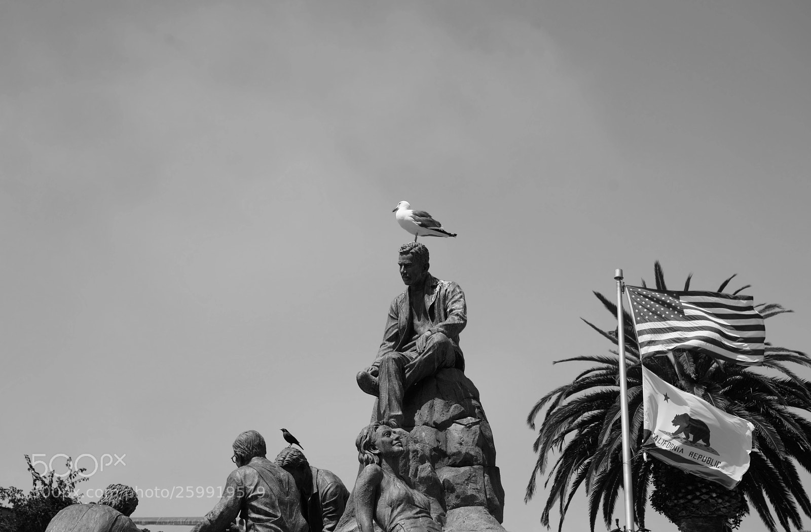 Sony a7R III sample photo. Monterey photography