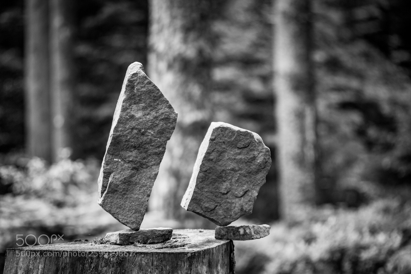 Canon EOS 6D sample photo. Balancing rock photography