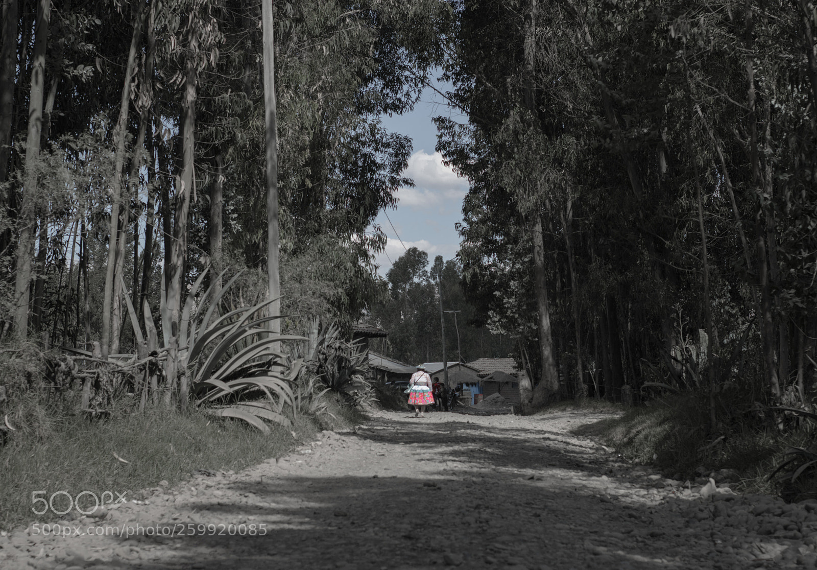 Nikon D3300 sample photo. Un punto colorido photography