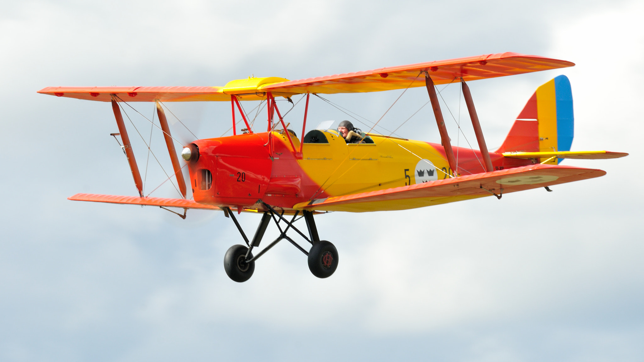 Nikon D300S sample photo. Tiger moth photography