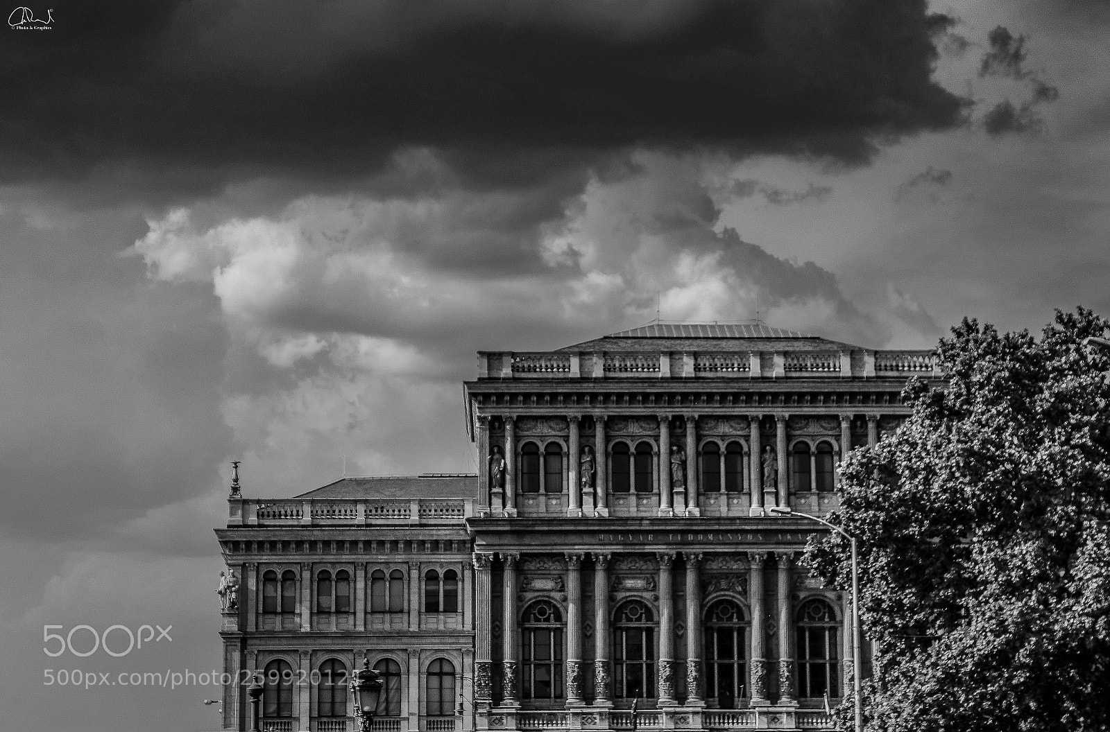 Canon EOS 70D sample photo. Black and white photography