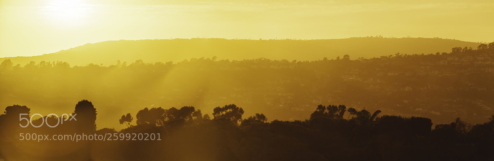 Canon EOS 5D Mark II sample photo. Yellow sunset photography