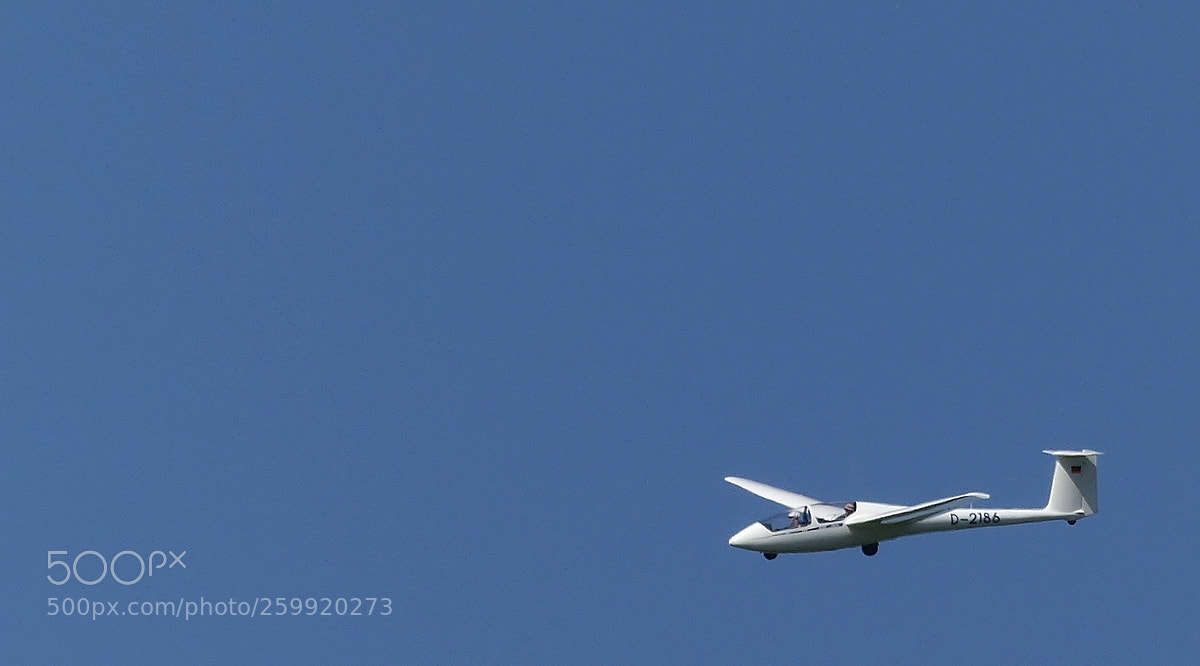 Panasonic Lumix DMC-FZ300 sample photo. Gliding photography