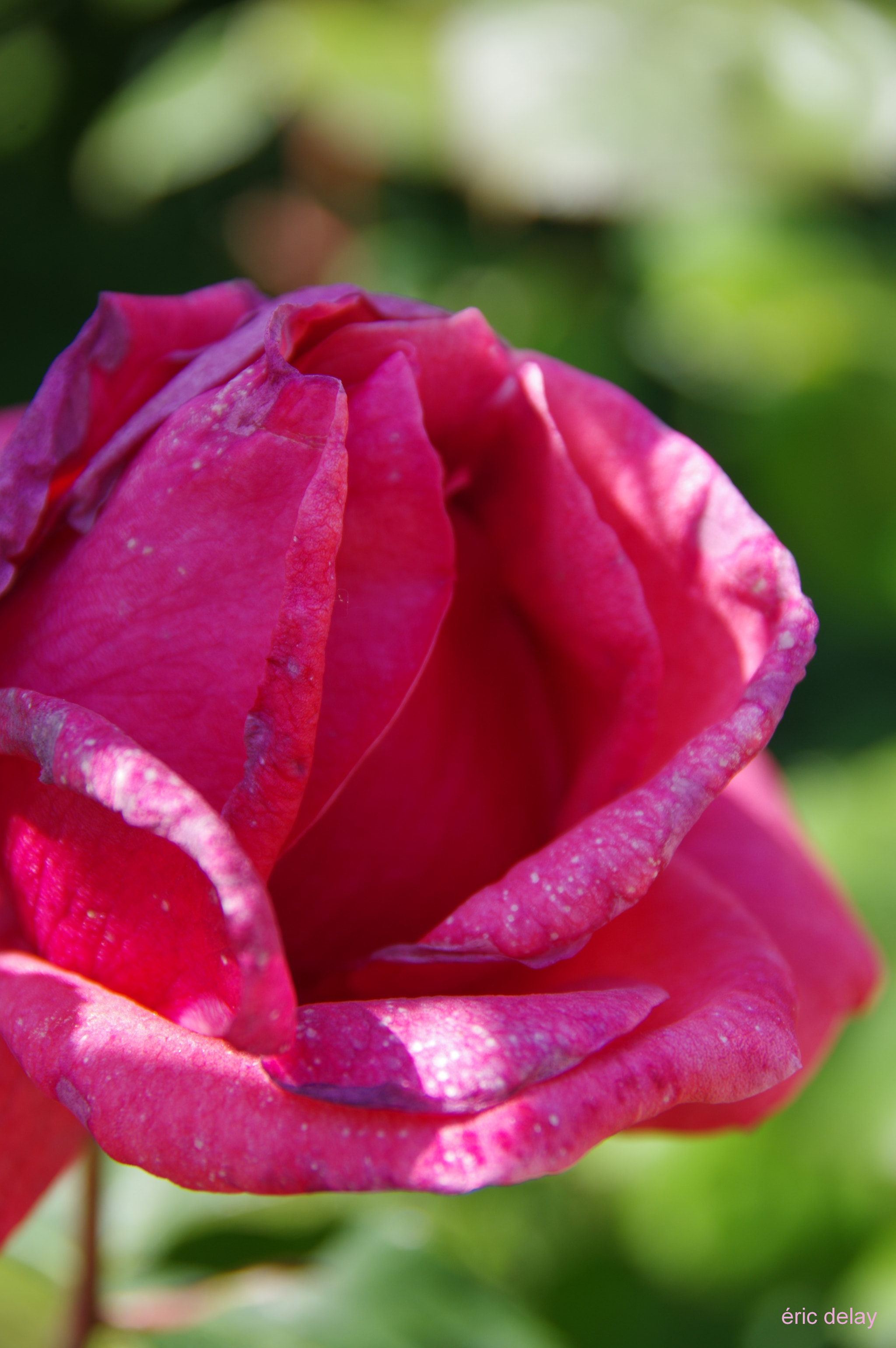 Pentax K-3 sample photo. Love! photography