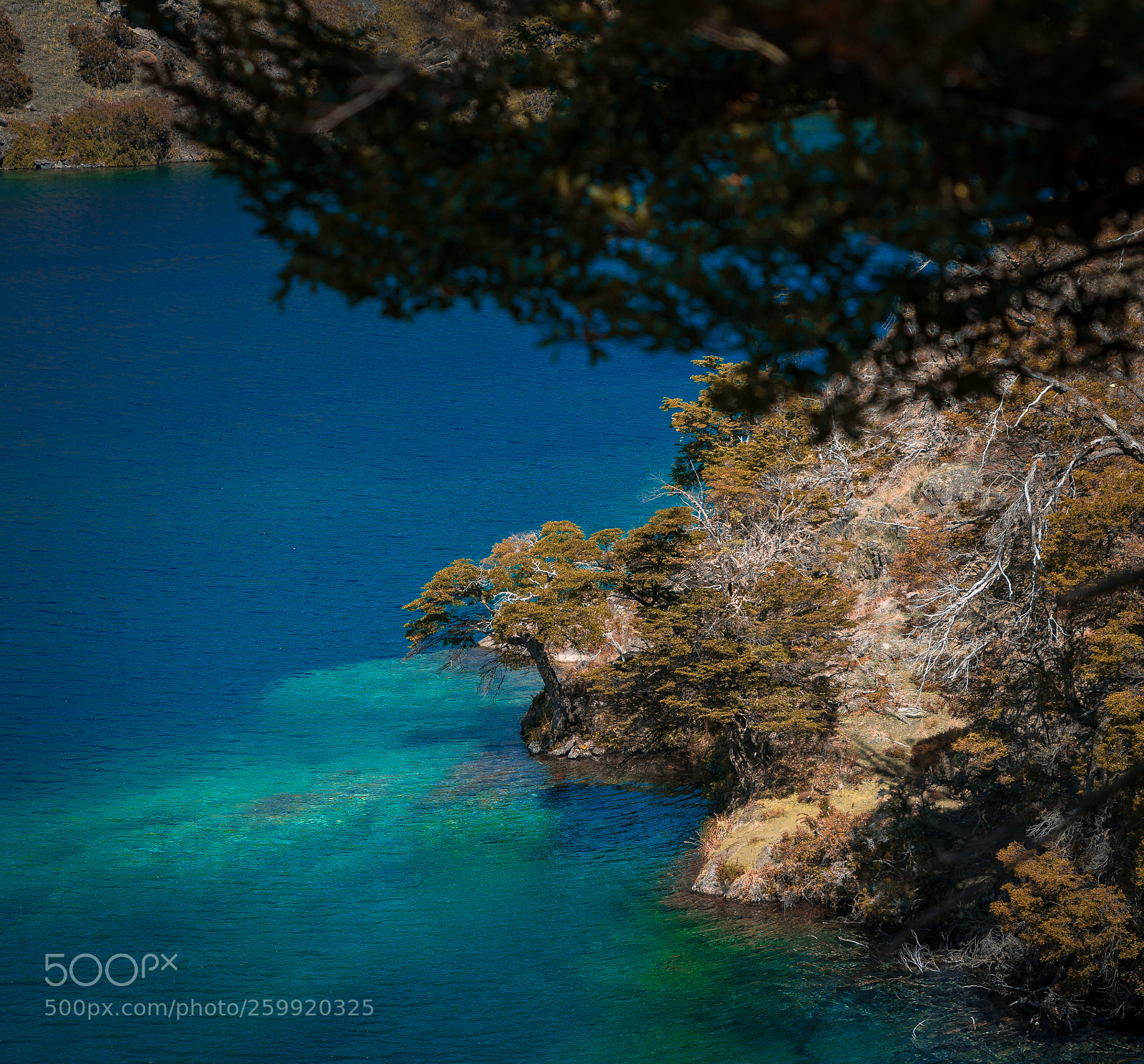 Sony a9 sample photo. Reserva tamango, rio cochrane photography