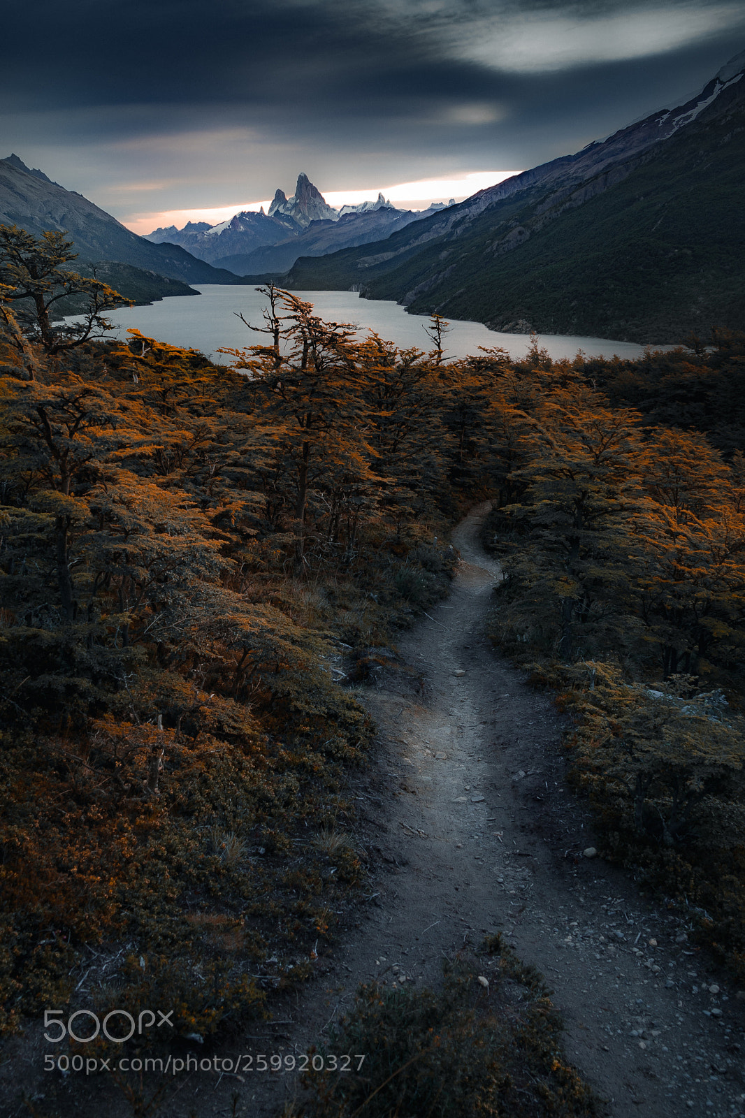 Sony a9 sample photo. Mt. fitz roy, lago photography