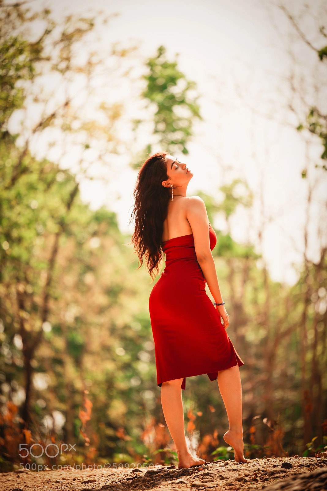 Nikon D750 sample photo. Curves photography