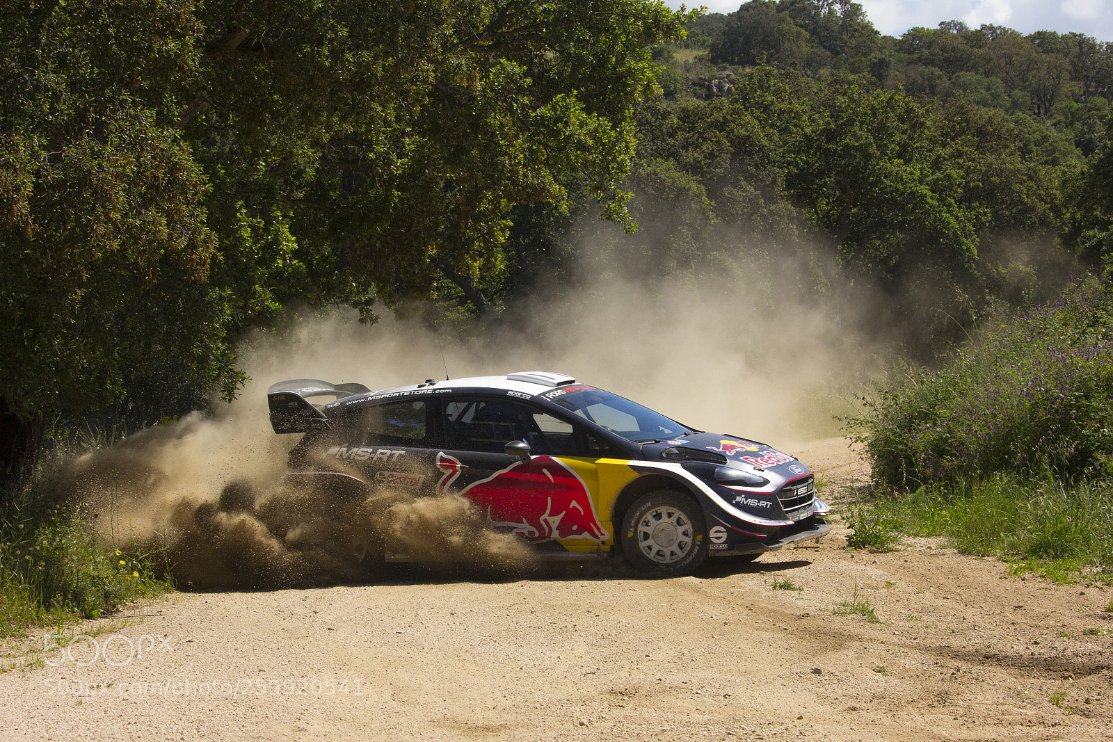 Canon EOS 60D sample photo. Test ford wrc pre photography