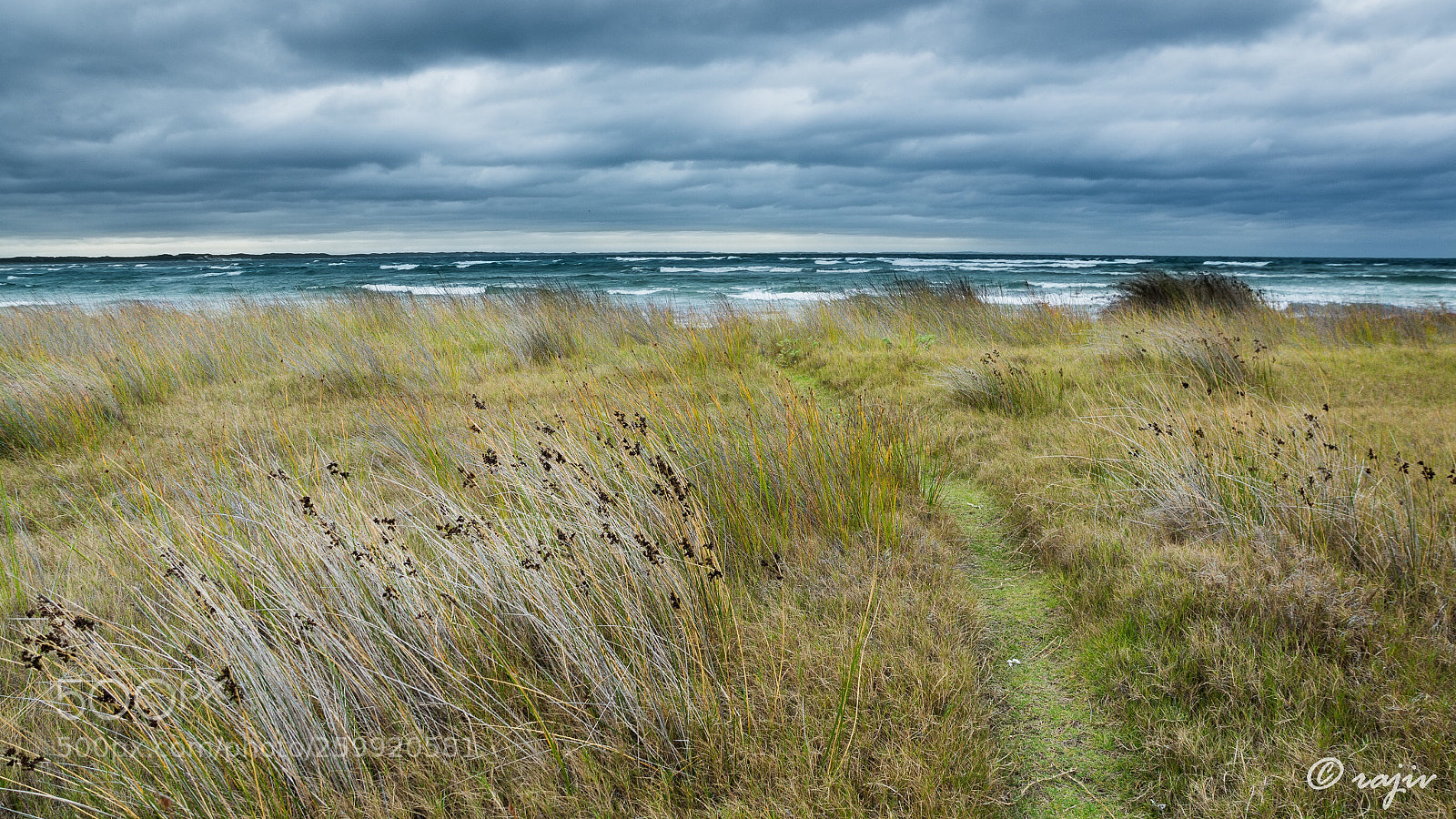 Sony SLT-A77 sample photo. The pathways  photography