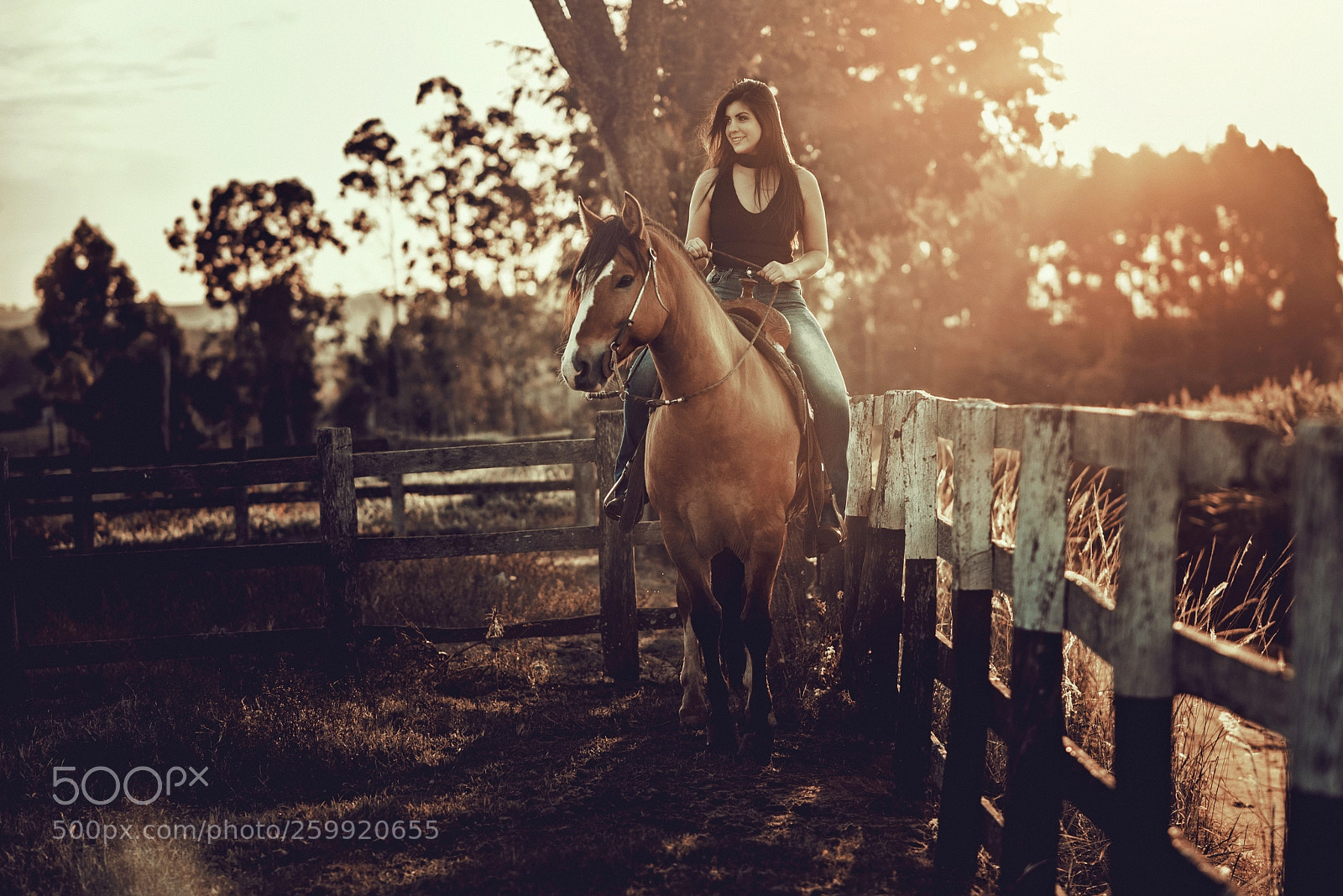 Nikon D610 sample photo. Untitled photography
