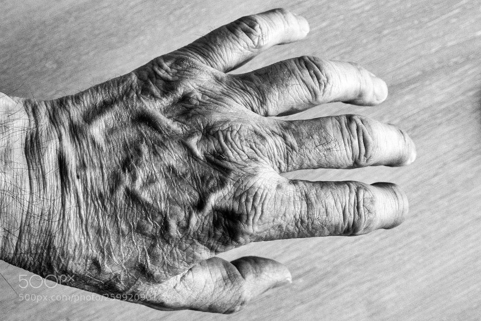 Fujifilm X-T2 sample photo. Hand photography