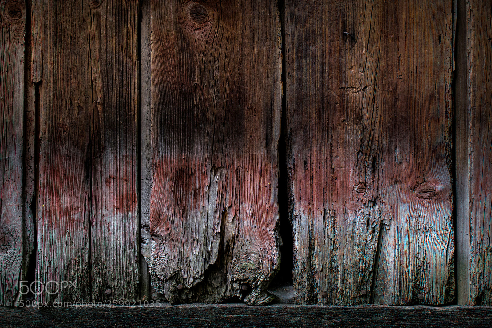 Nikon D5300 sample photo. Diffusion photography
