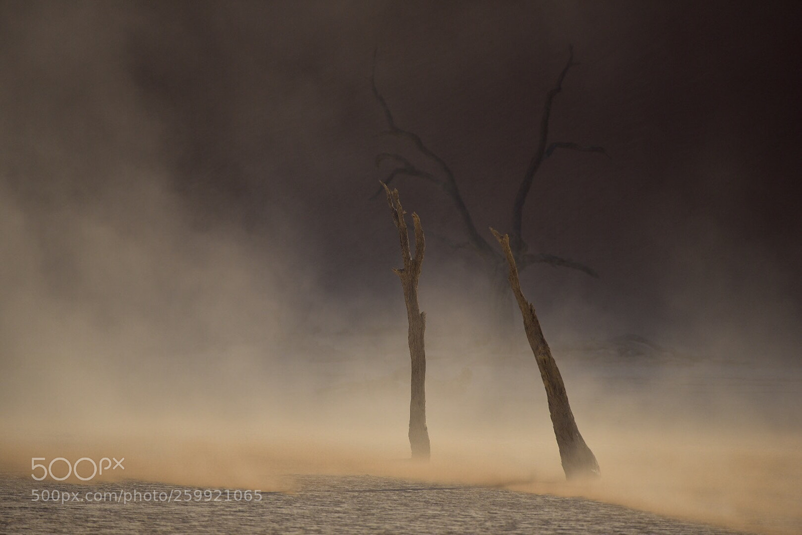 Nikon D750 sample photo. Sandstorm  photography