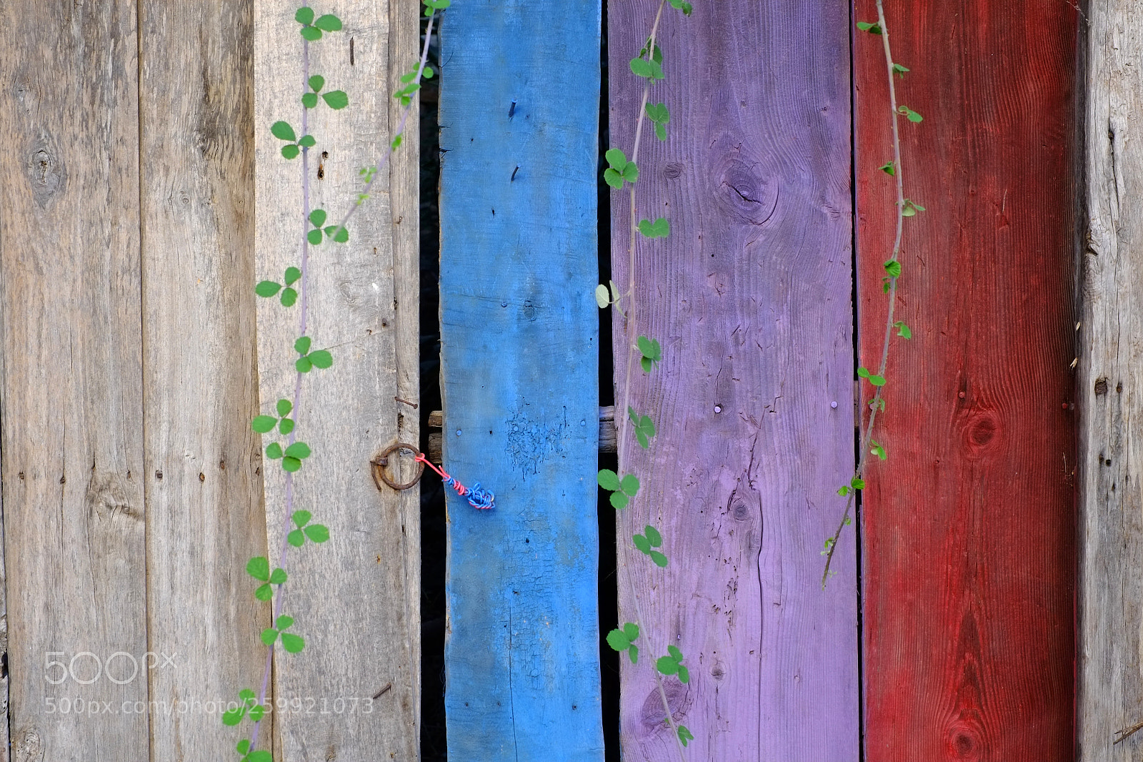 Fujifilm X-E1 sample photo. The door.. photography