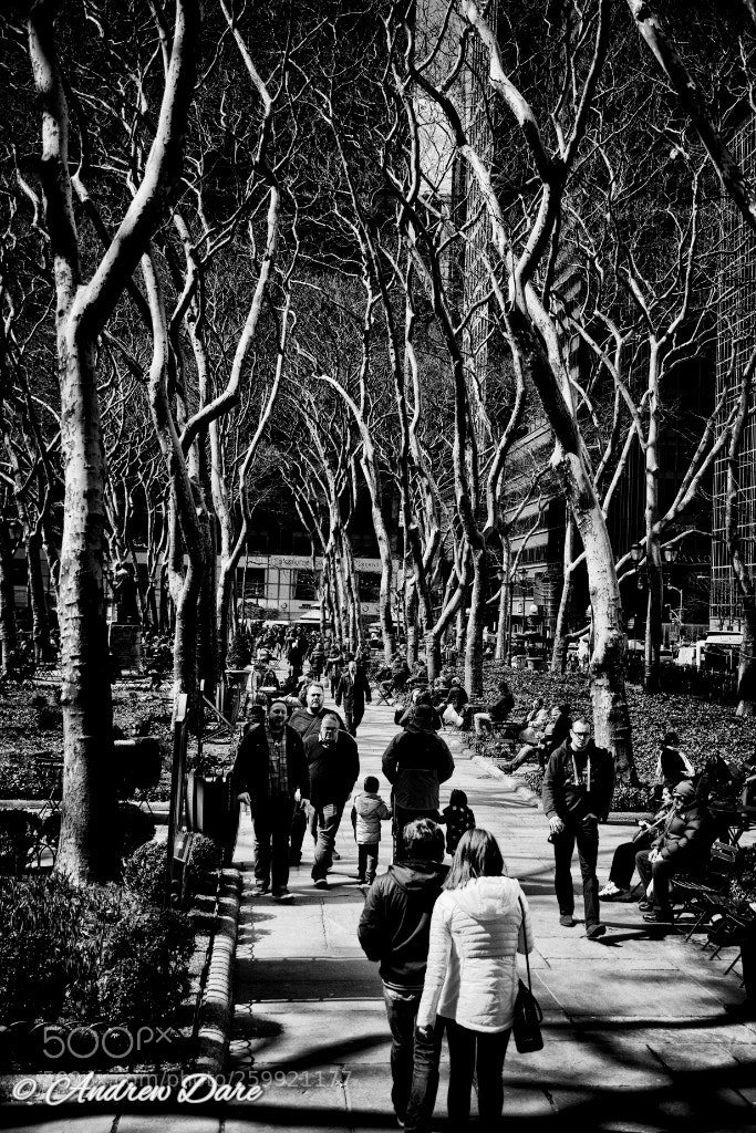 Nikon D810 sample photo. Bryant park photography