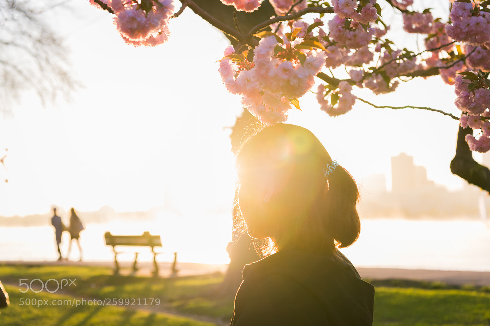 Nikon D850 sample photo. The girl is watching photography