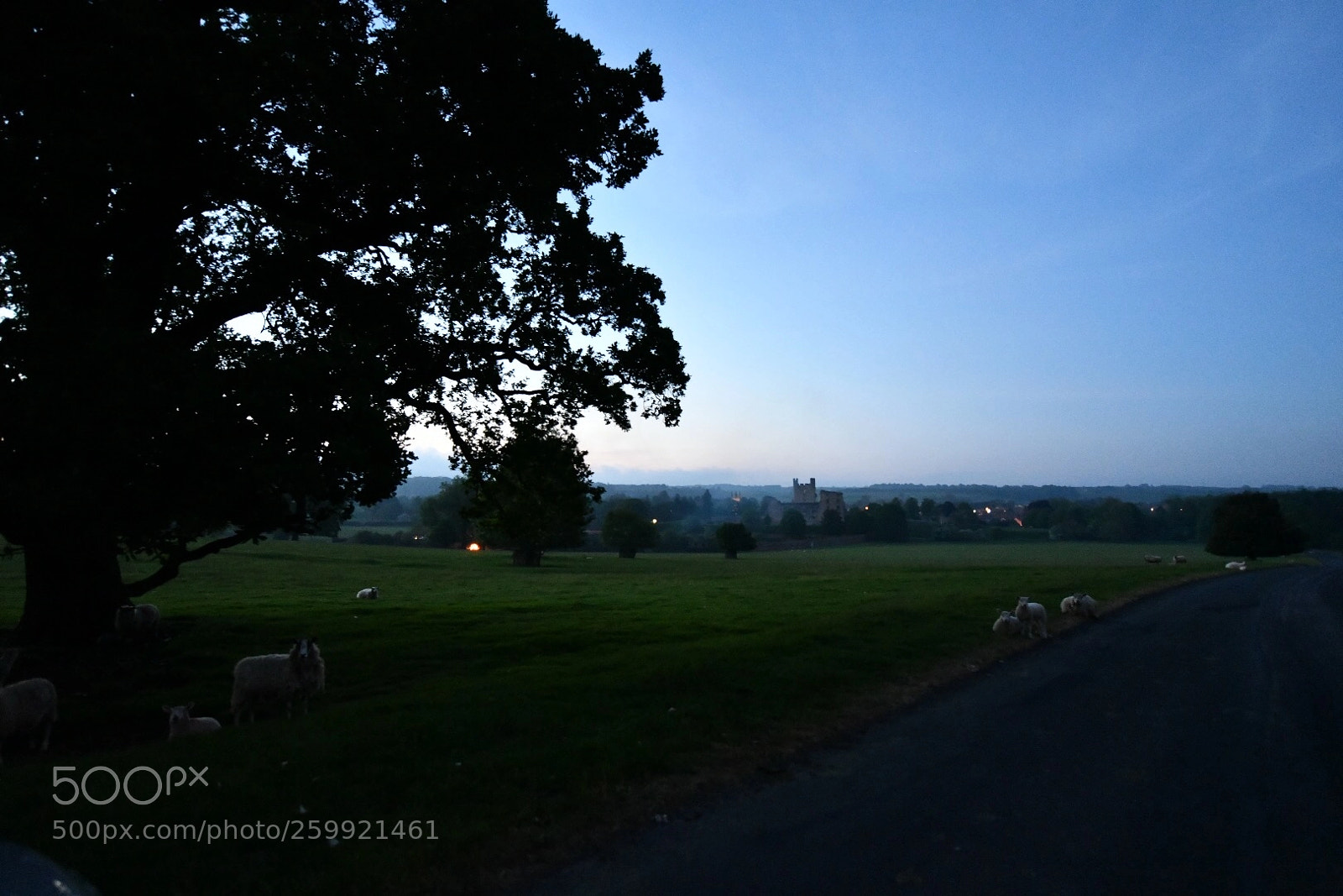 Nikon D850 sample photo. Helmsley a dream photography