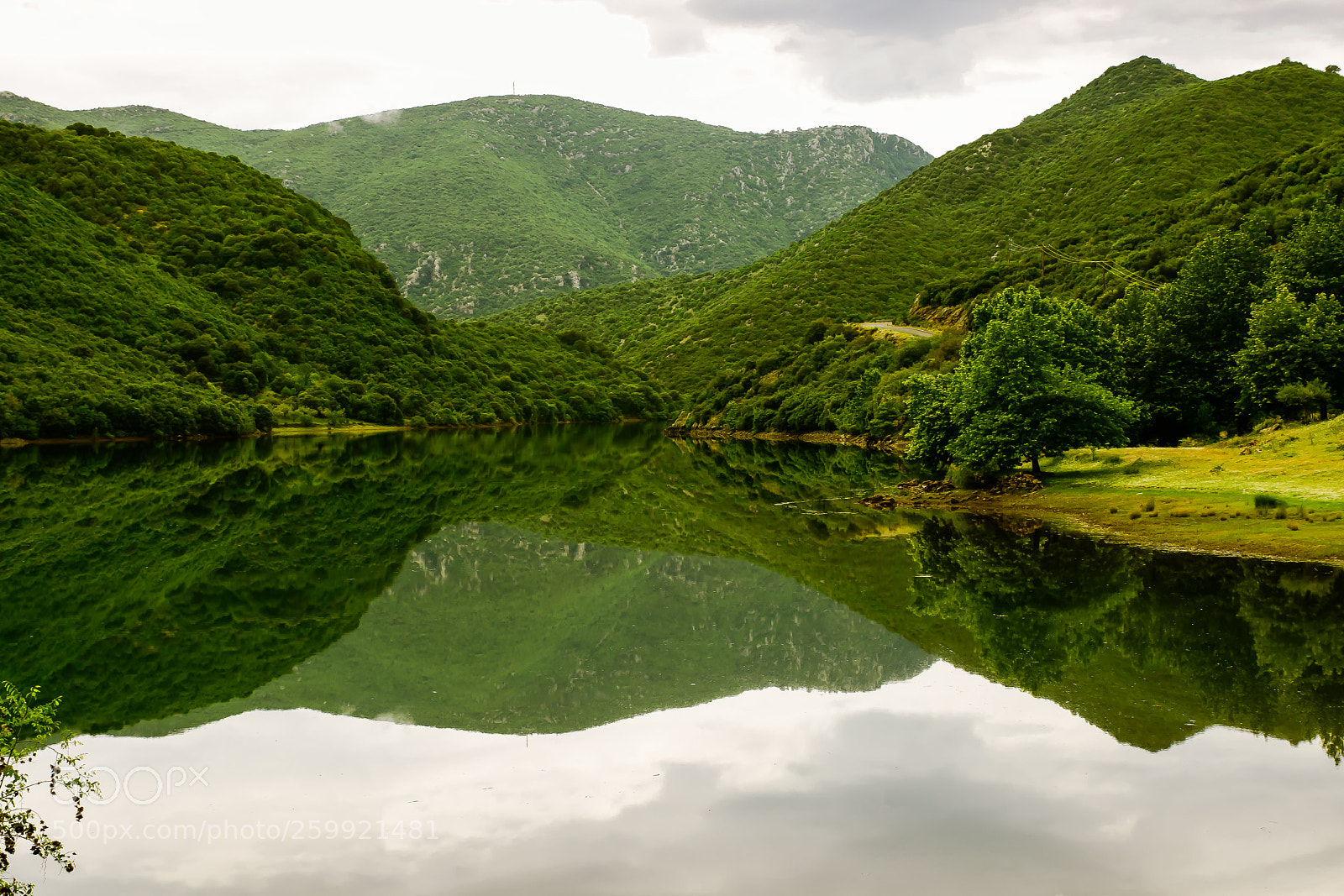 Nikon D7100 sample photo. Reflections.. photography