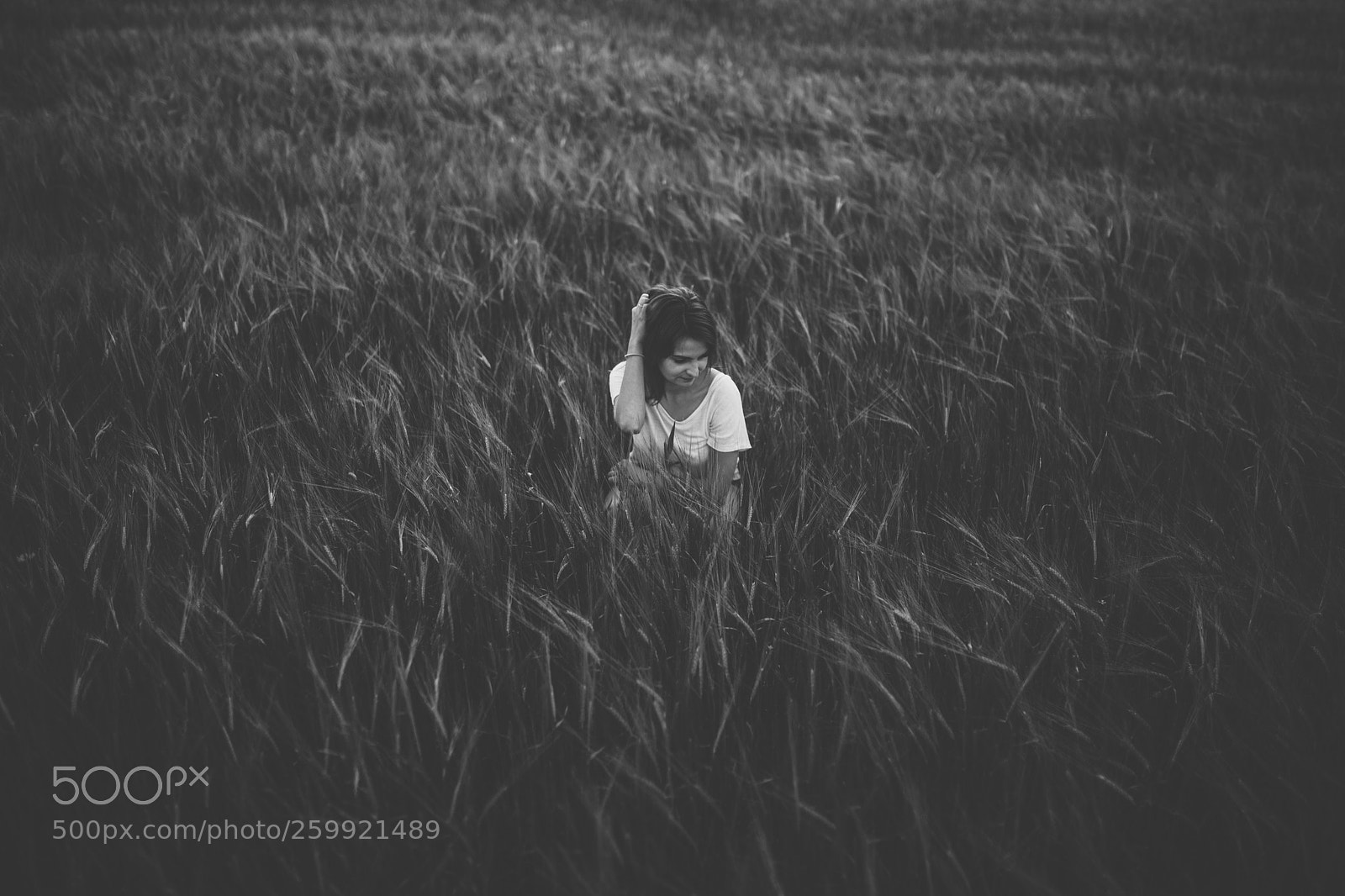 Canon EOS 6D sample photo. Field photography