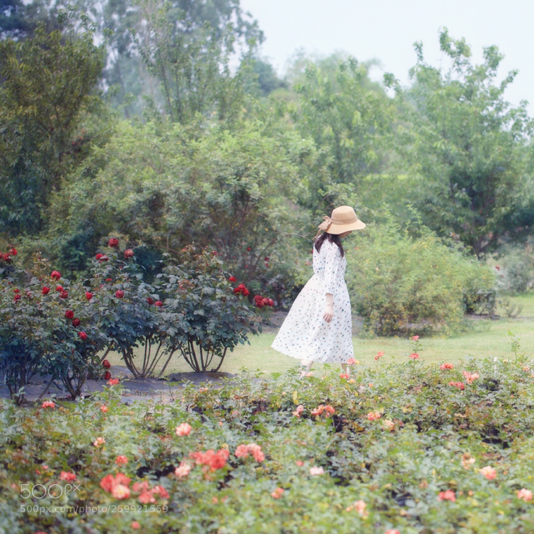 Canon EOS-1D X Mark II sample photo. Garden photography