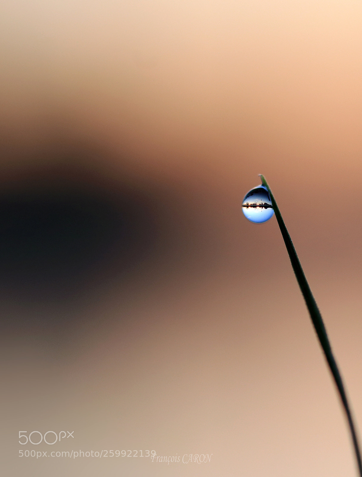Canon EOS 70D sample photo. The world in a photography