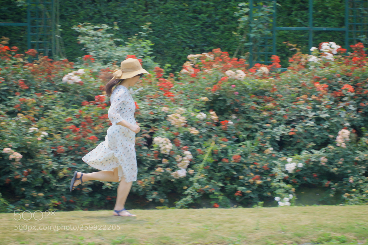 Canon EOS-1D X Mark II sample photo. Running photography
