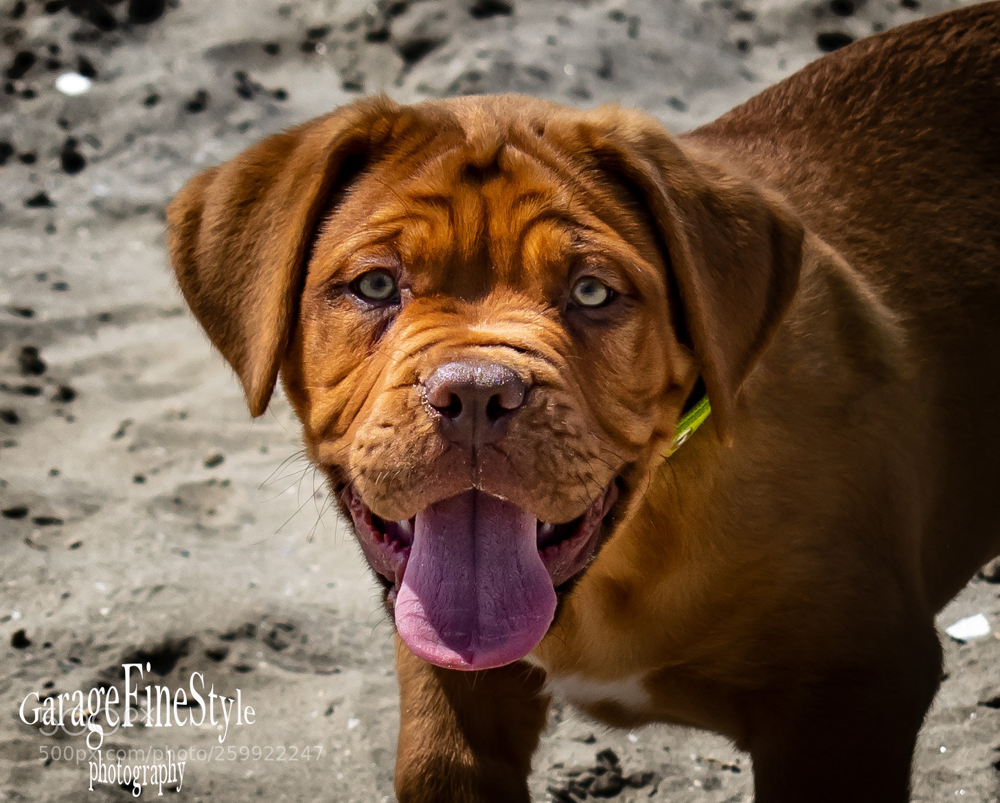 Nikon D5300 sample photo. Love photography