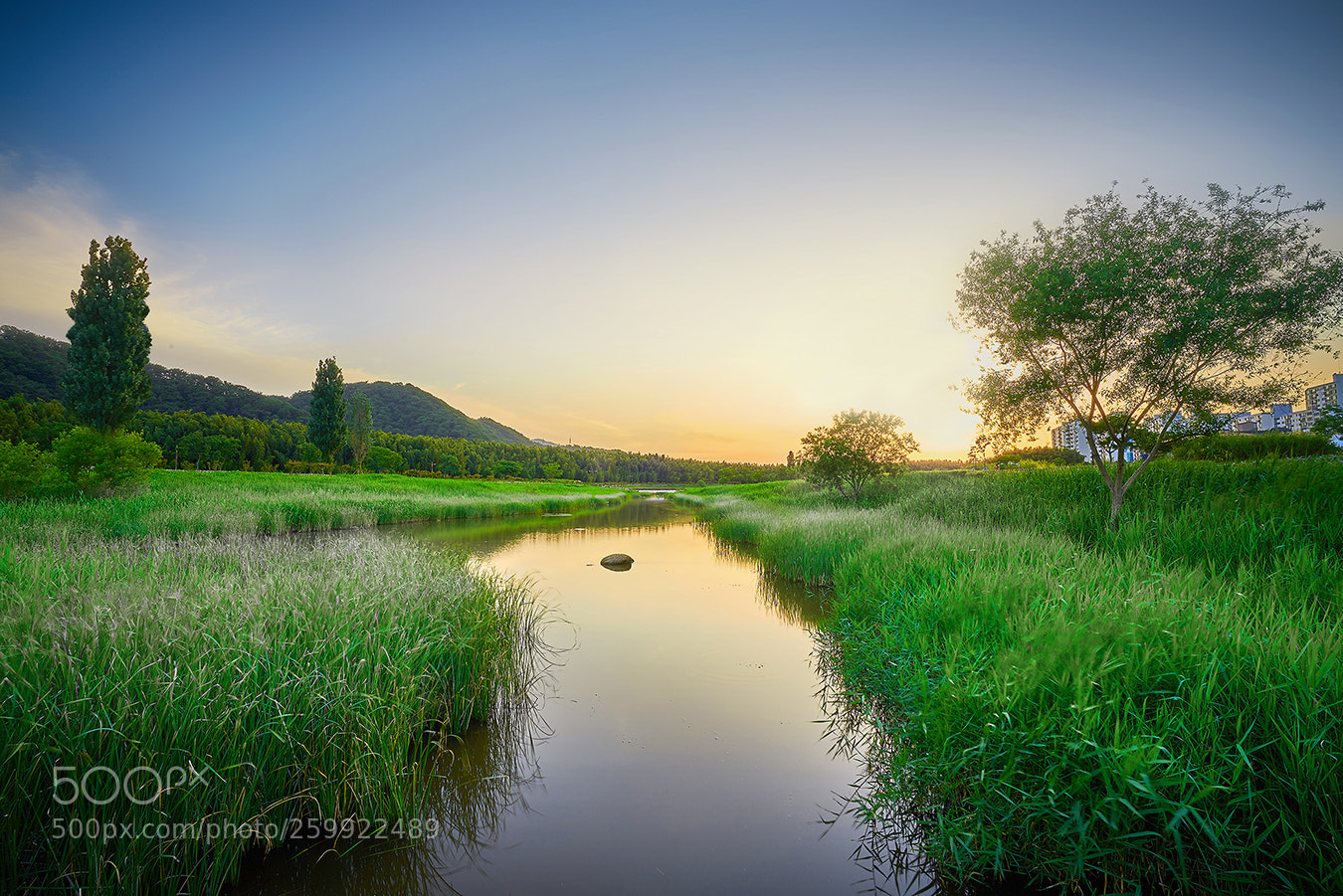 Sony a7R III sample photo. A beautiful stream photography
