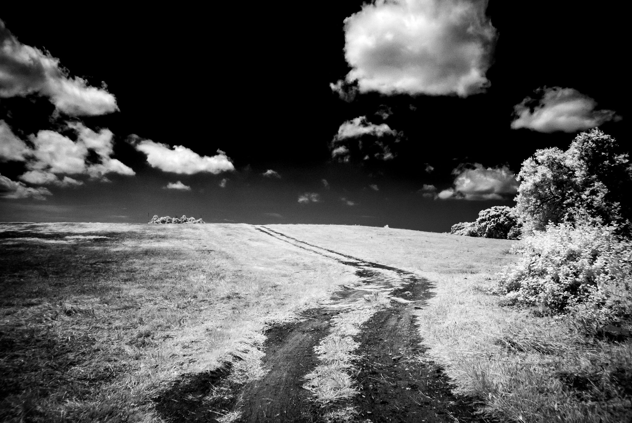 Nikon 1 J1 sample photo. Road to...??? photography