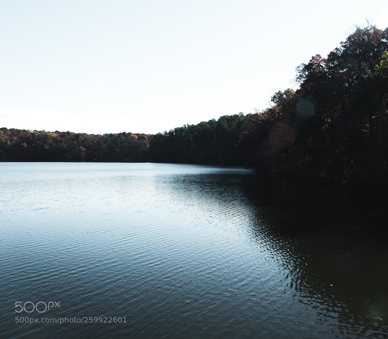 Nikon D5500 sample photo. Man photography