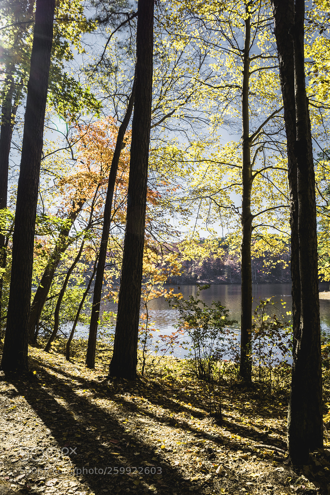 Nikon D5500 sample photo. Man_7108-2.jpg photography