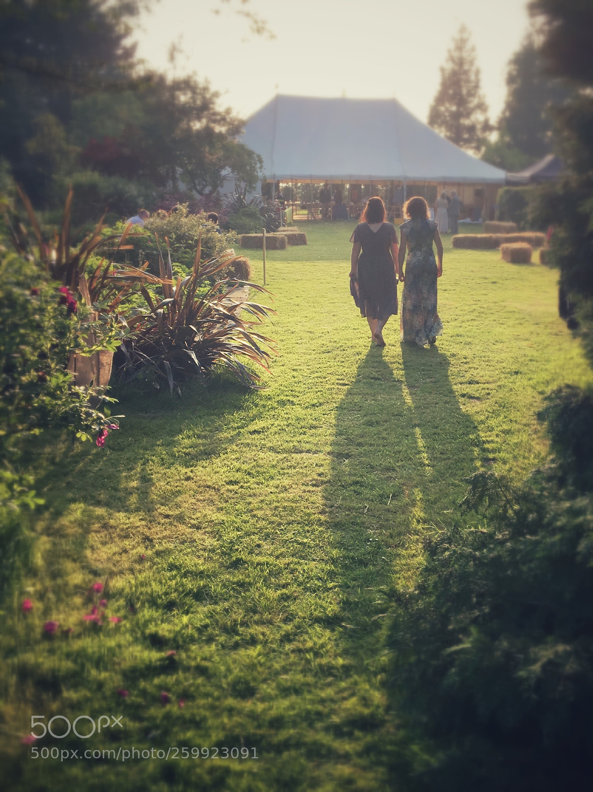 Apple iPhone 6s sample photo. Summer wedding photography