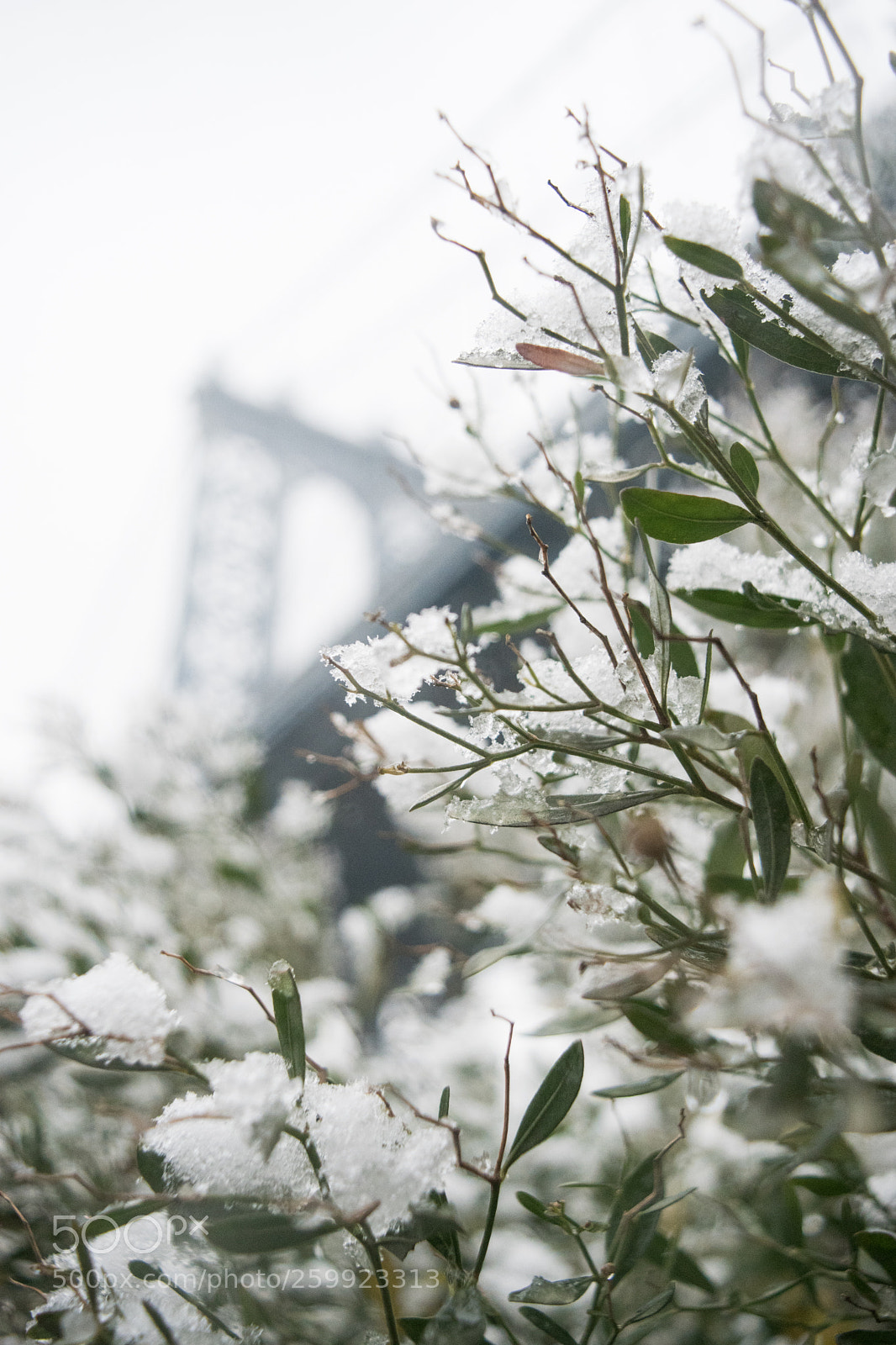 Nikon D5500 sample photo. Man photography