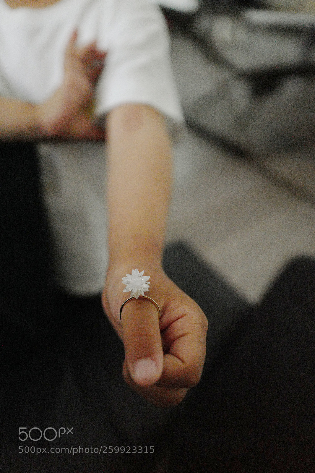 Leica Q (Typ 116) sample photo. Untitled photography