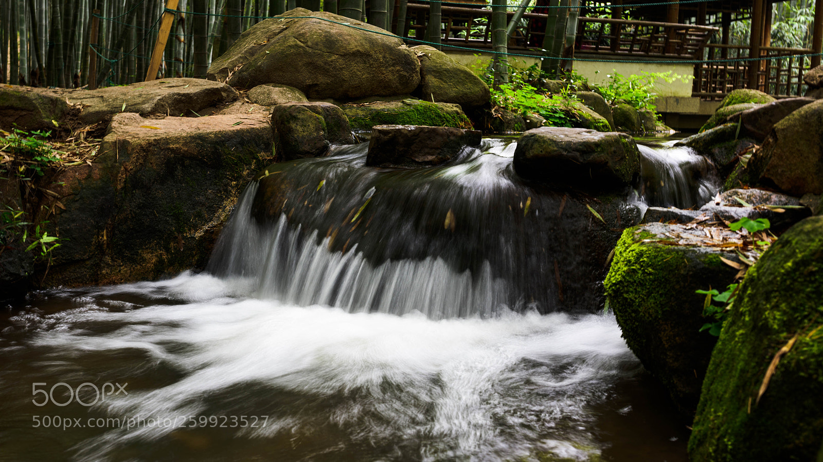 Nikon D810 sample photo. Untitled photography
