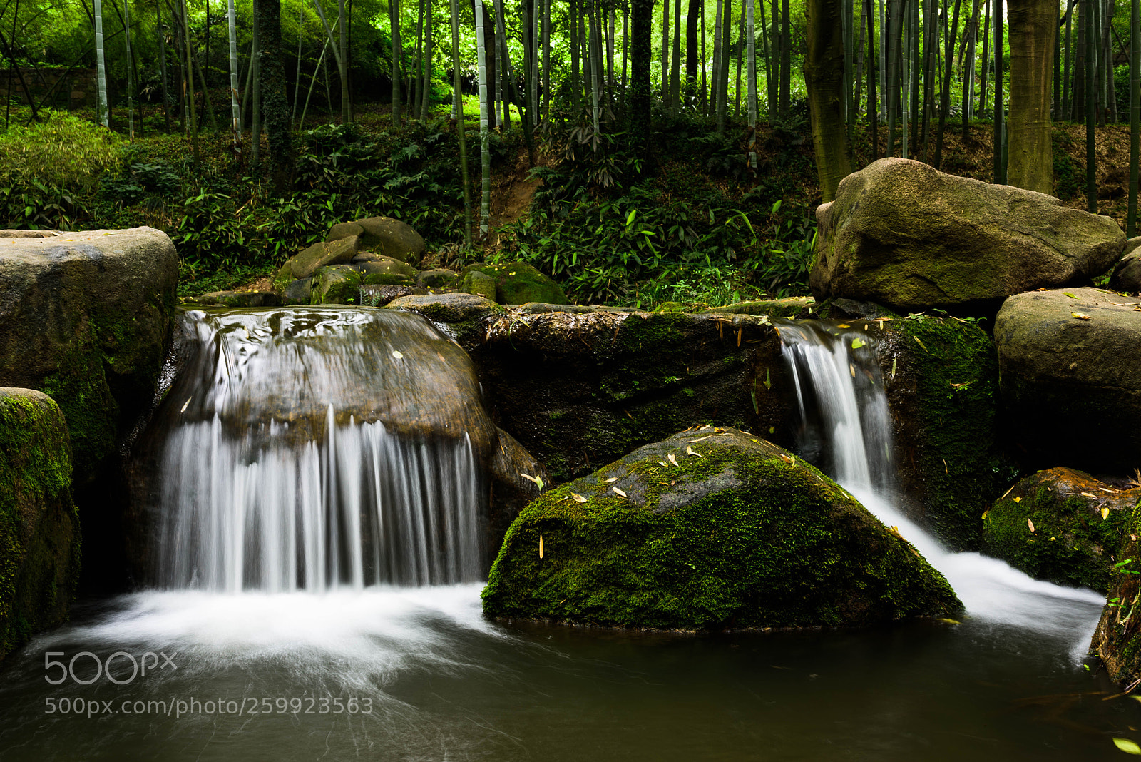 Nikon D810 sample photo. Untitled photography